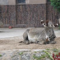 Výlet 3.OA do ZOO